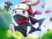 Ninja Rabbit