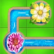 Water Connect Flow